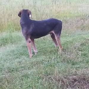 Meet your Posher, Justin